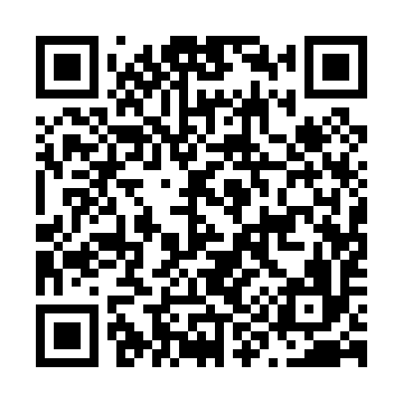 QR code for N91096