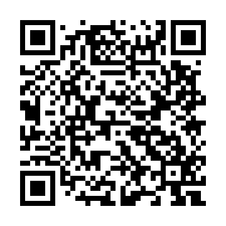 QR code for N91517