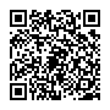 QR code for N916686