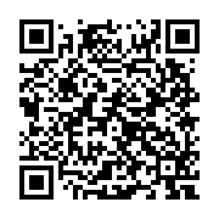 QR code for N91796