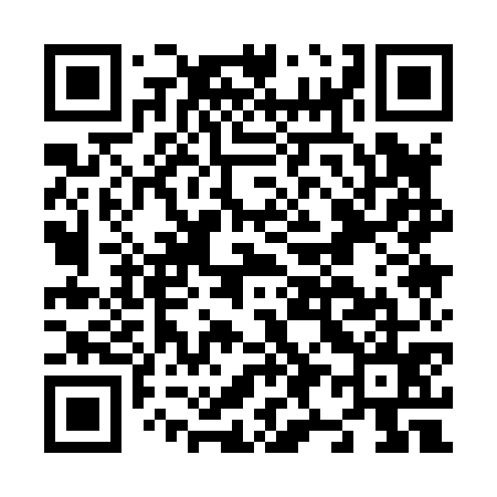 QR code for N91875