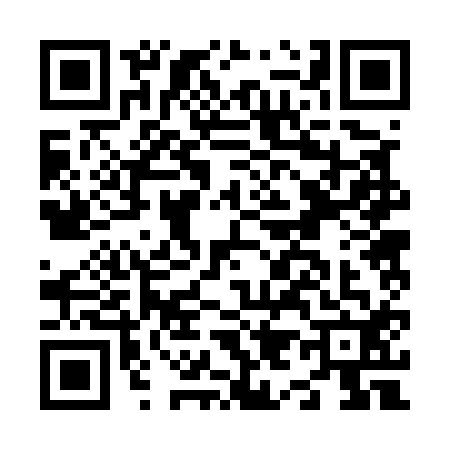 QR code for N925128