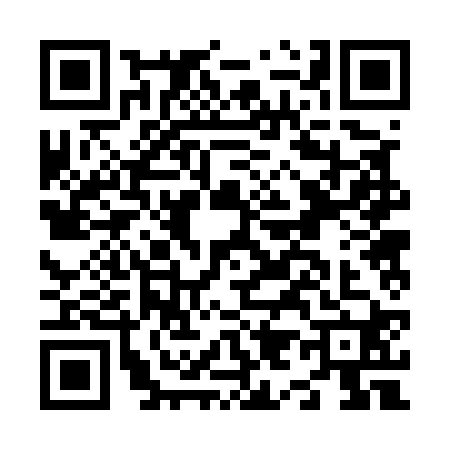 QR code for N925208