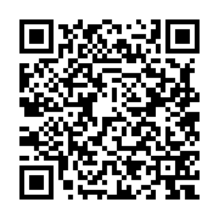 QR code for N928730