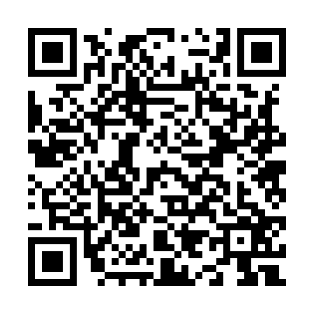 QR code for N929264