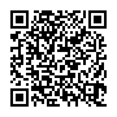 QR code for N92960