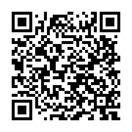 QR code for N93511
