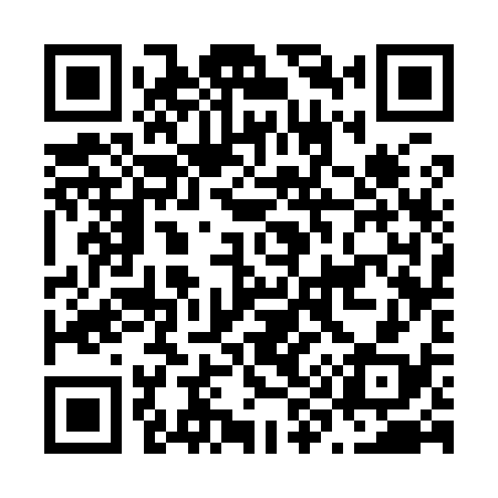 QR code for N93938