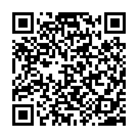 QR code for N95218