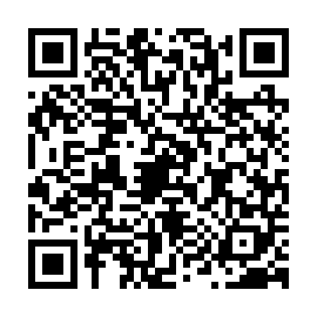 QR code for N952481