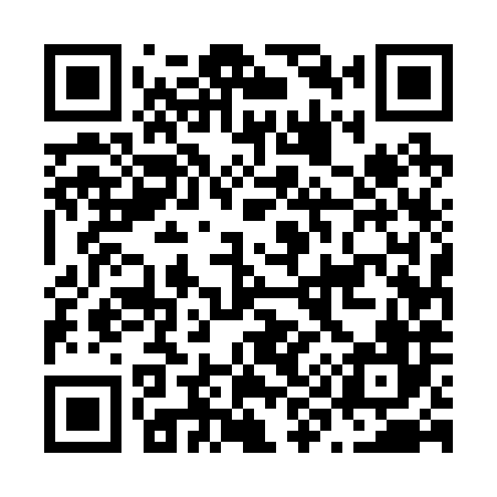 QR code for N95286