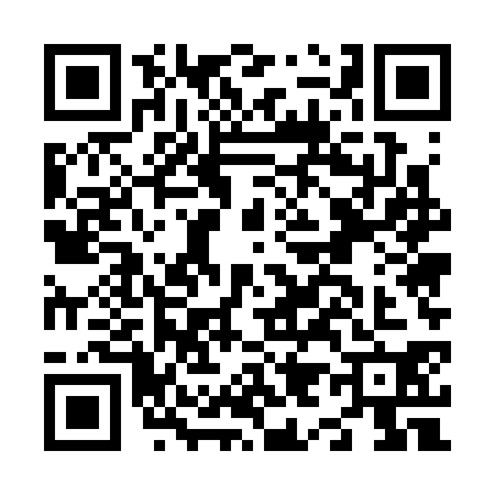 QR code for N953305