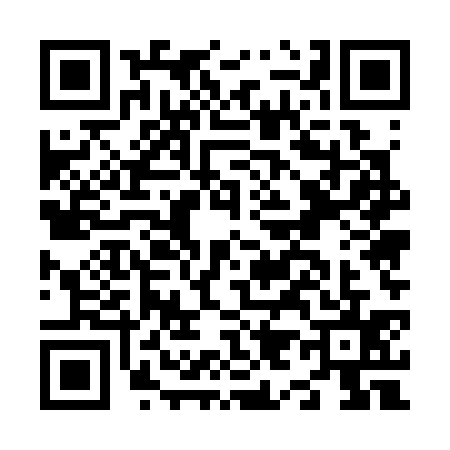 QR code for N953359