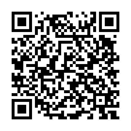 QR code for N95421