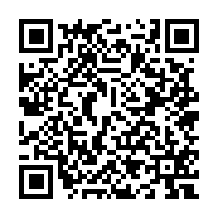 QR code for N955153