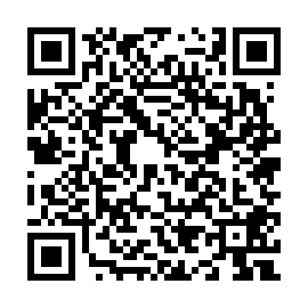 QR code for N956087