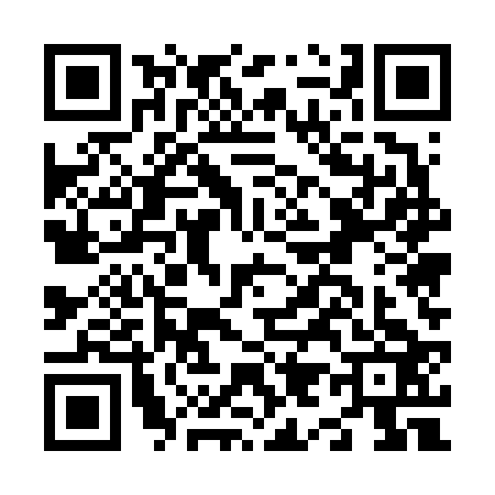 QR code for N956234