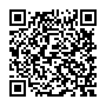 QR code for N95891