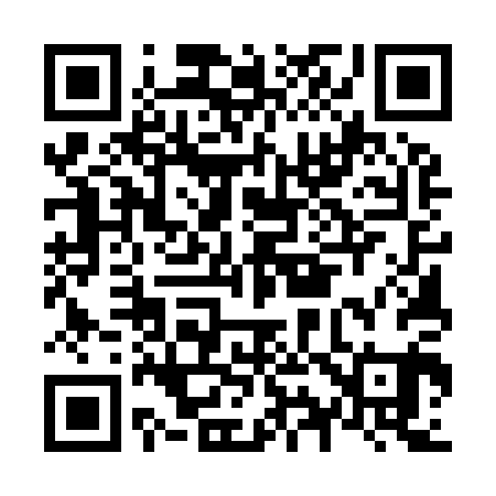QR code for N95901
