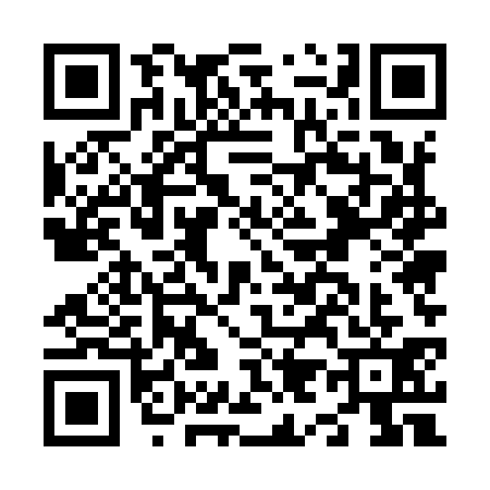 QR code for N959313