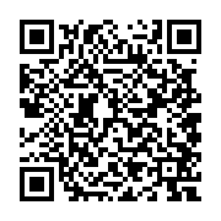 QR code for N960429
