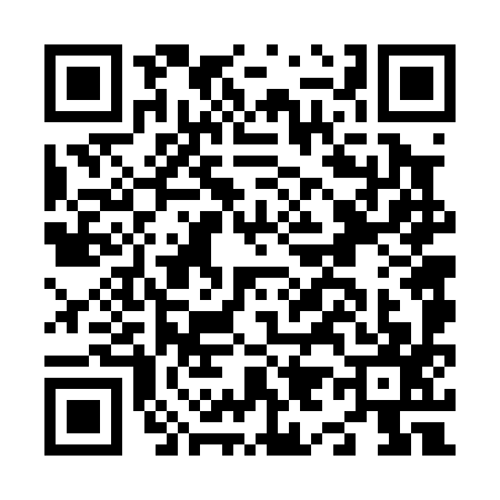 QR code for N960977