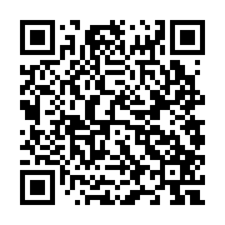 QR code for N96307