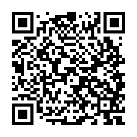 QR code for N96383