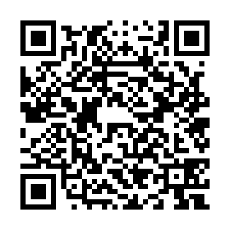 QR code for N971382