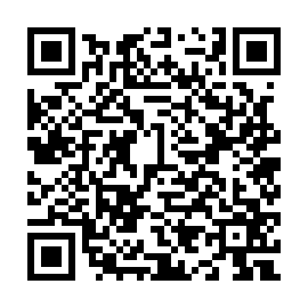 QR code for N971666