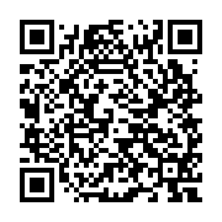 QR code for N97394