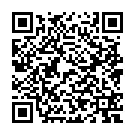 QR code for N985208