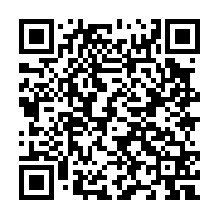 QR code for N99060