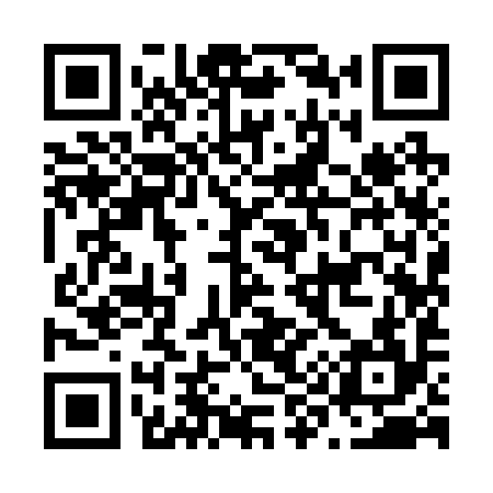 QR code for N99294