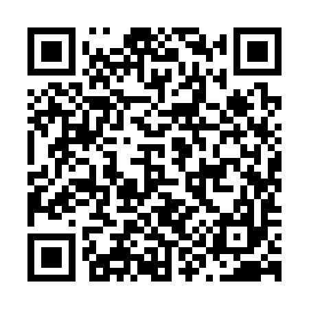 QR code for N99397