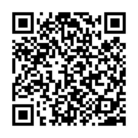 QR code for N99419