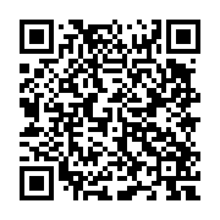 QR code for N99446