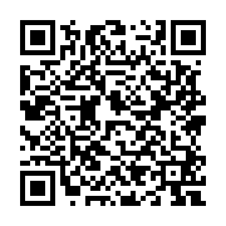 QR code for N995407