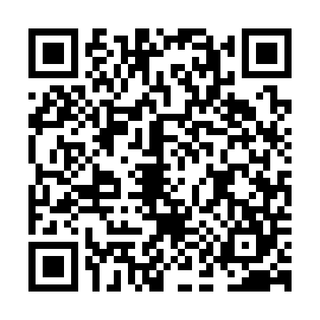 QR code for NA53446