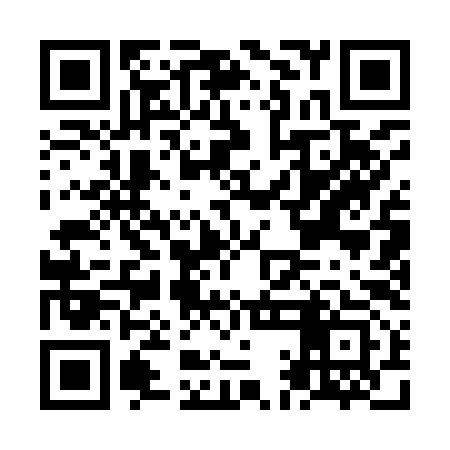 QR code for NAA993