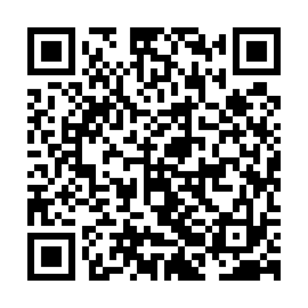 QR code for NBI533