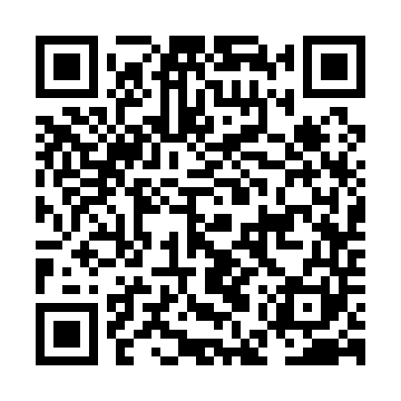 QR code for NES141
