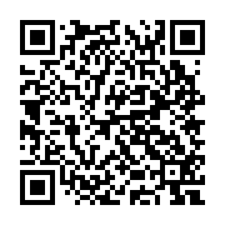 QR code for NEU313