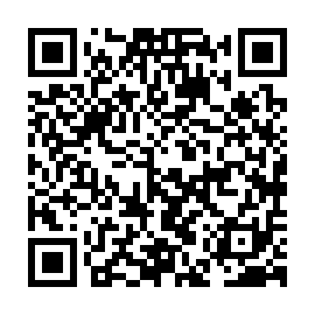 QR code for NEX311