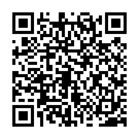 QR code for NF64333