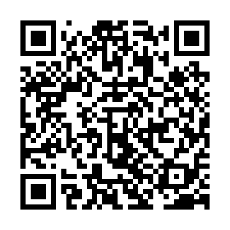 QR code for NFE219