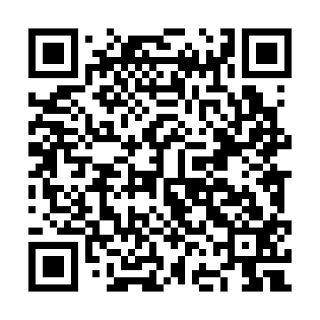 QR code for NFL313