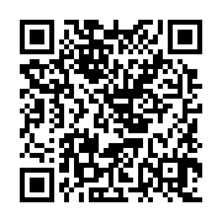 QR code for NFL384