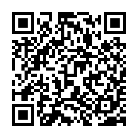 QR code for NHC295