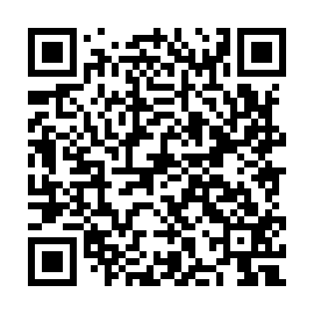 QR code for NHX913